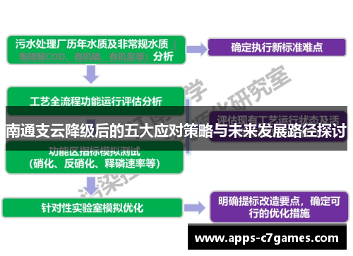南通支云降级后的五大应对策略与未来发展路径探讨