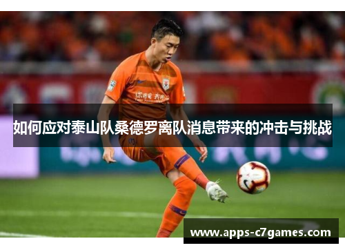 如何应对泰山队桑德罗离队消息带来的冲击与挑战
