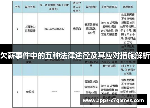 欠薪事件中的五种法律途径及其应对措施解析