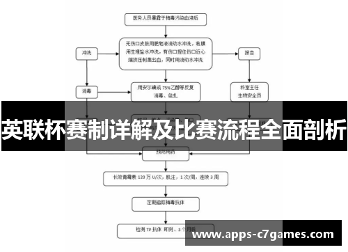 英联杯赛制详解及比赛流程全面剖析
